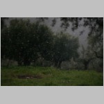 Das Schneetreiben wird dichter ... Das Schneetreiben wird dichter ...